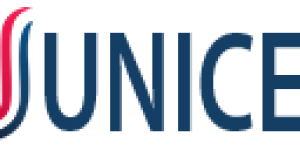 cropped-Logo-Warna-1